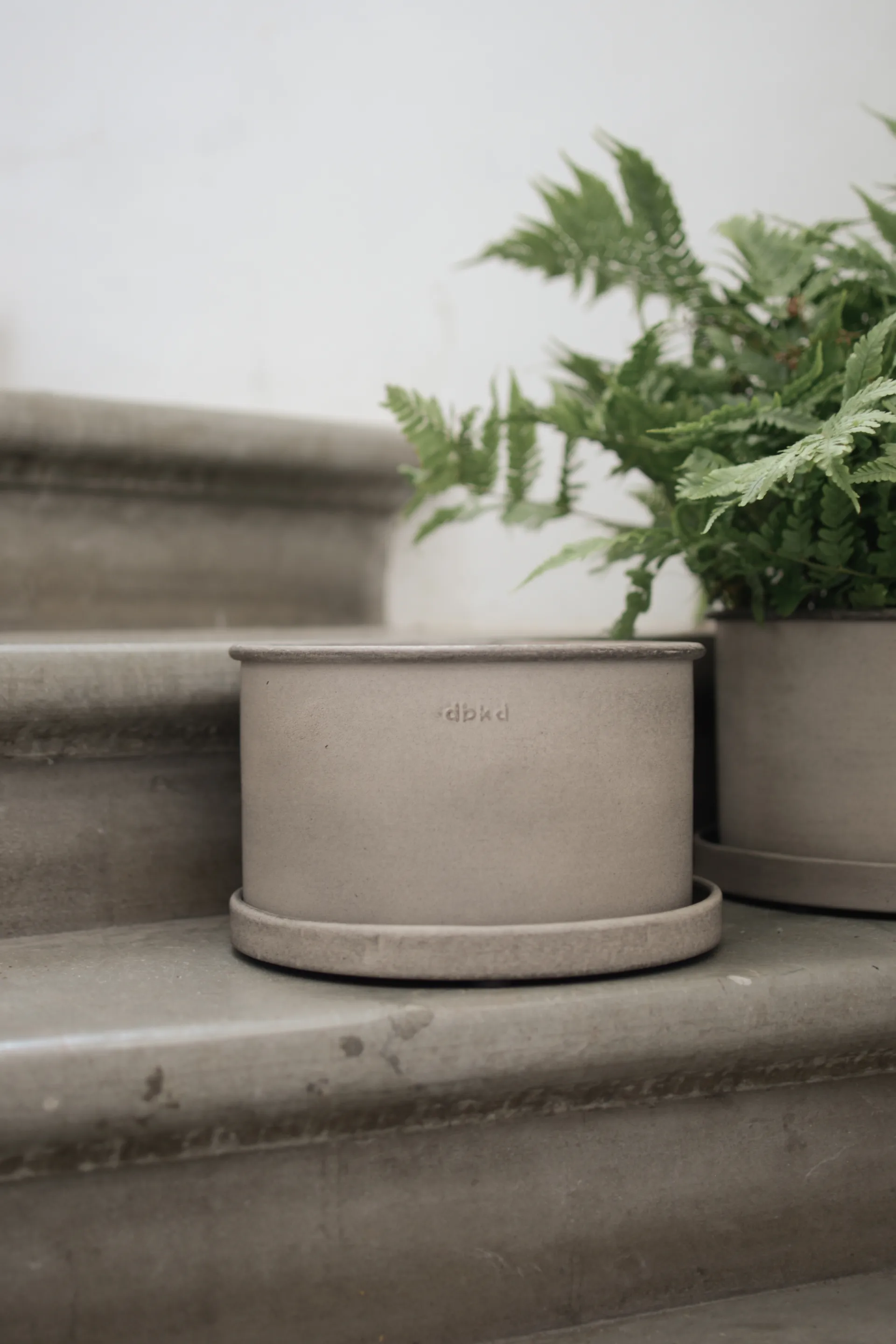 Cache-pot Plant bowl, lot de 2, Beige DBKD
