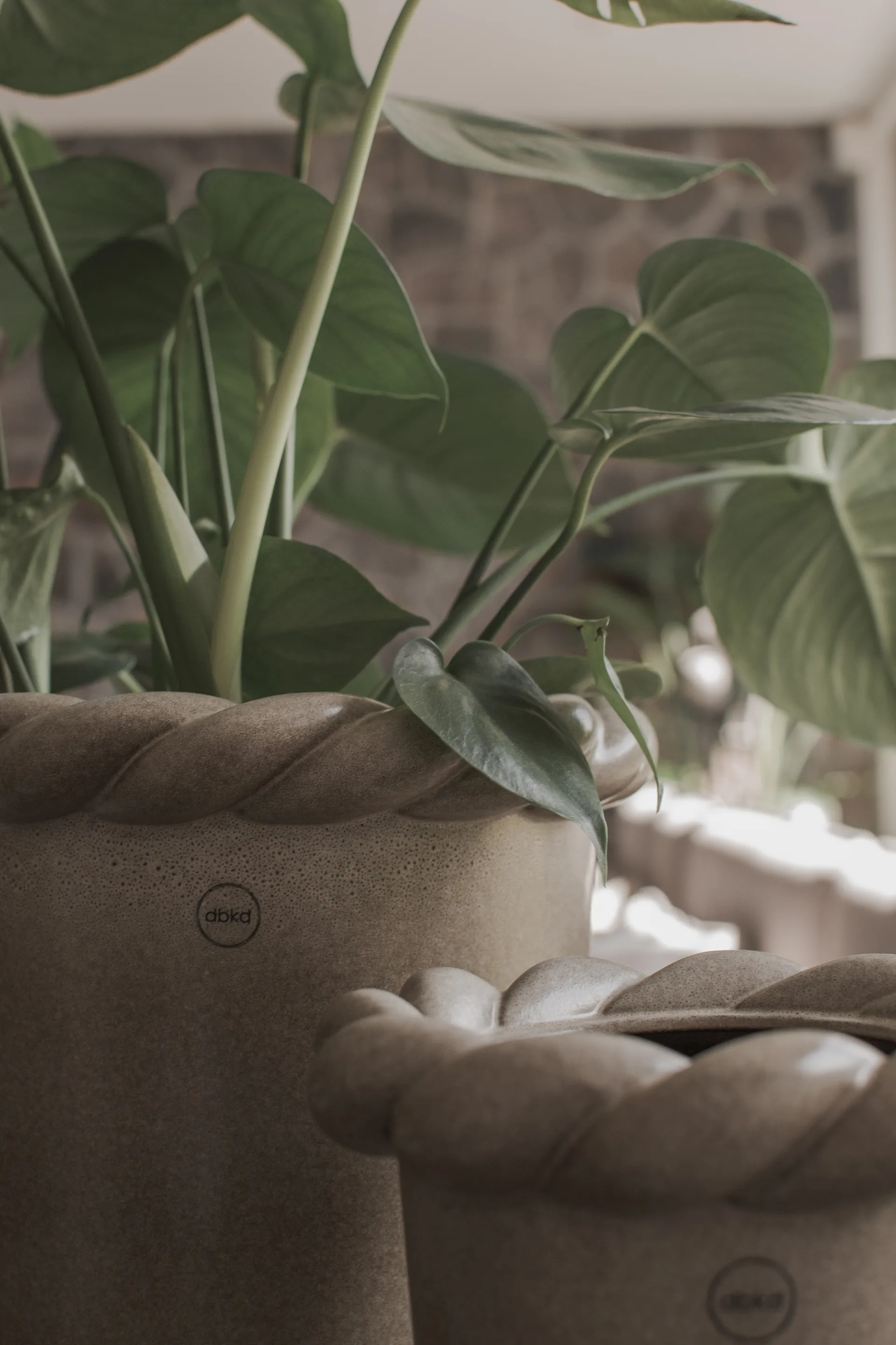 Cache-pot Twine Ø 22 cm, Beige DBKD