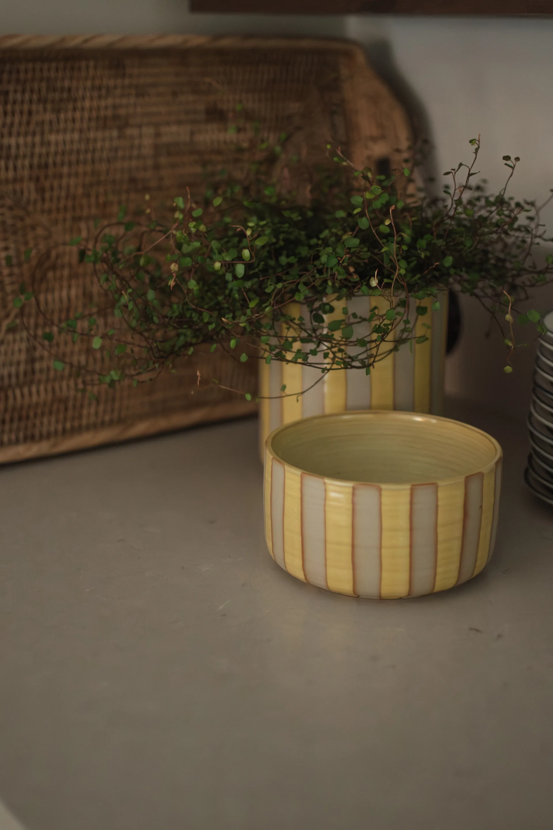 Coupe décorative Line Ø16 cm, Yellow DBKD