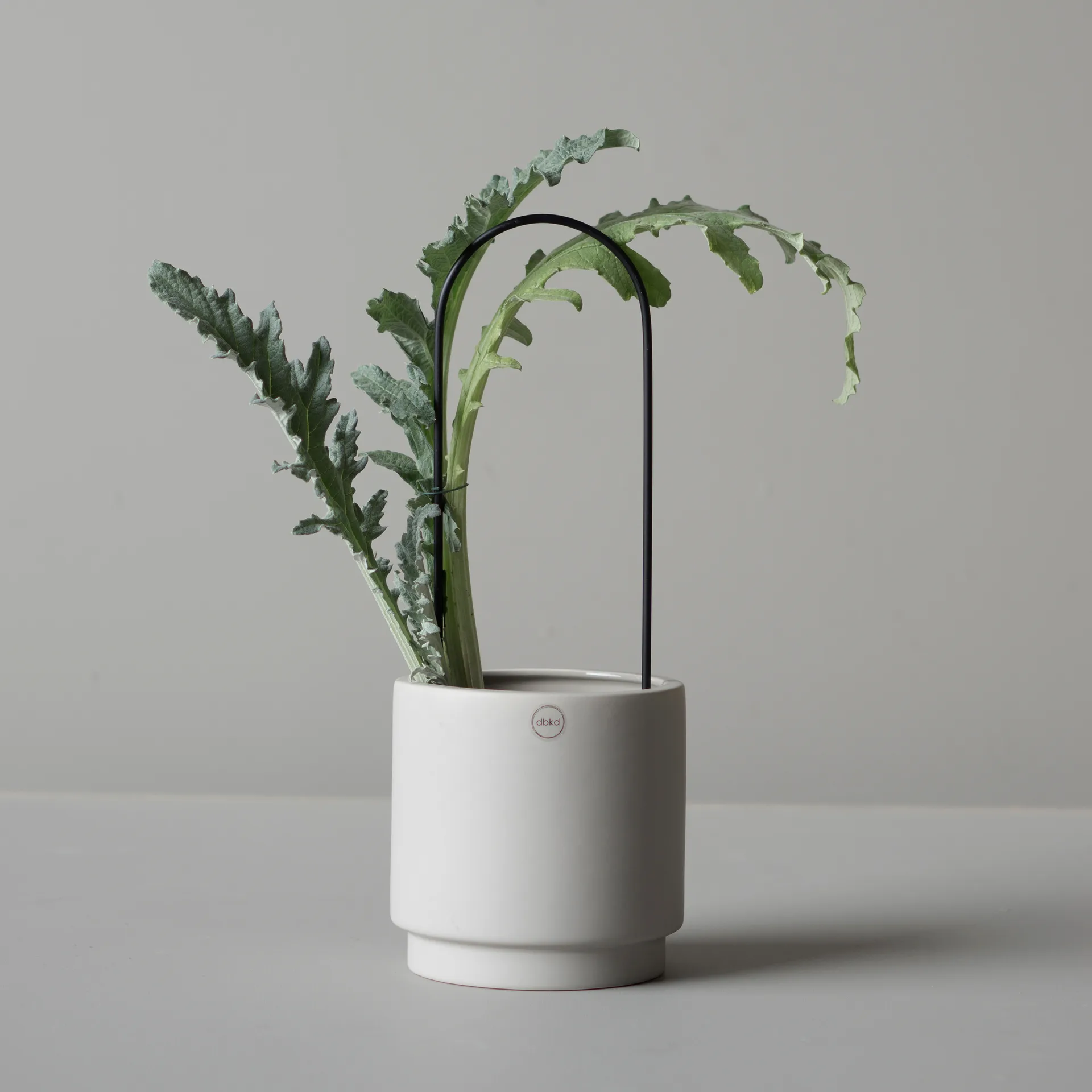 DBKD Flower Arc, Black DBKD