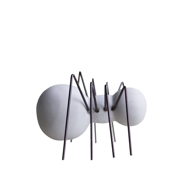 Décoration Concrete Bugs - grey, araignée - DBKD