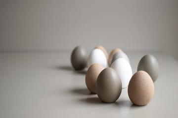 Décoration de Pâques Standing Egg - Sable - DBKD