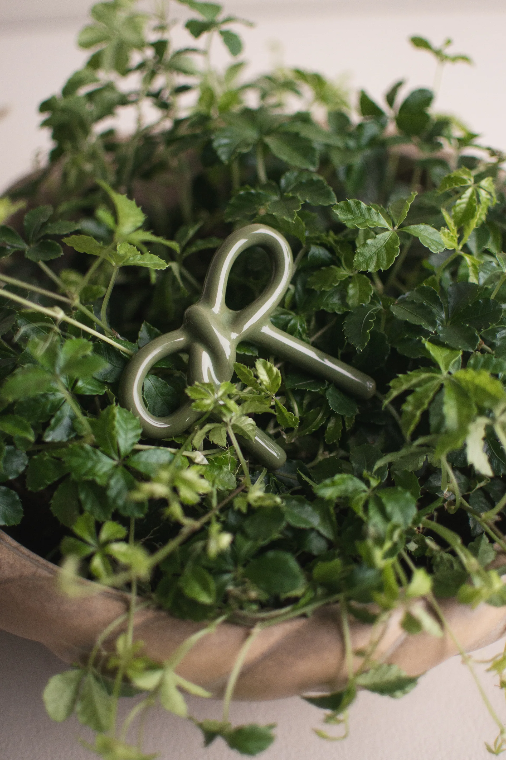 Décoration florale Bow, Shiny green DBKD