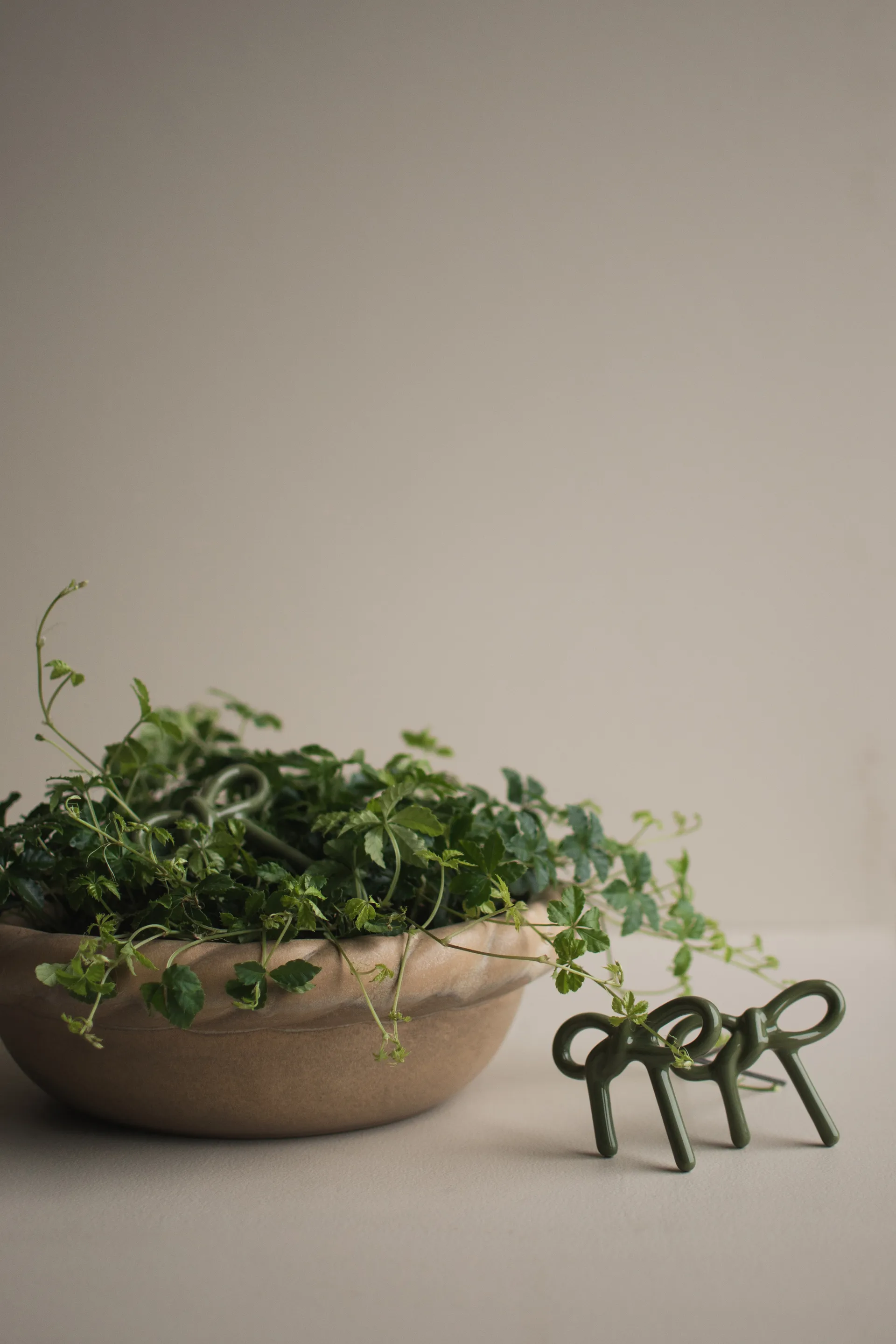 Décoration florale Bow, Shiny green DBKD