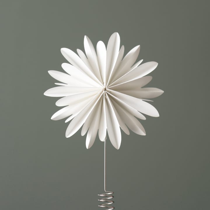 Etoile de Noël Tree tops flower - White - DBKD