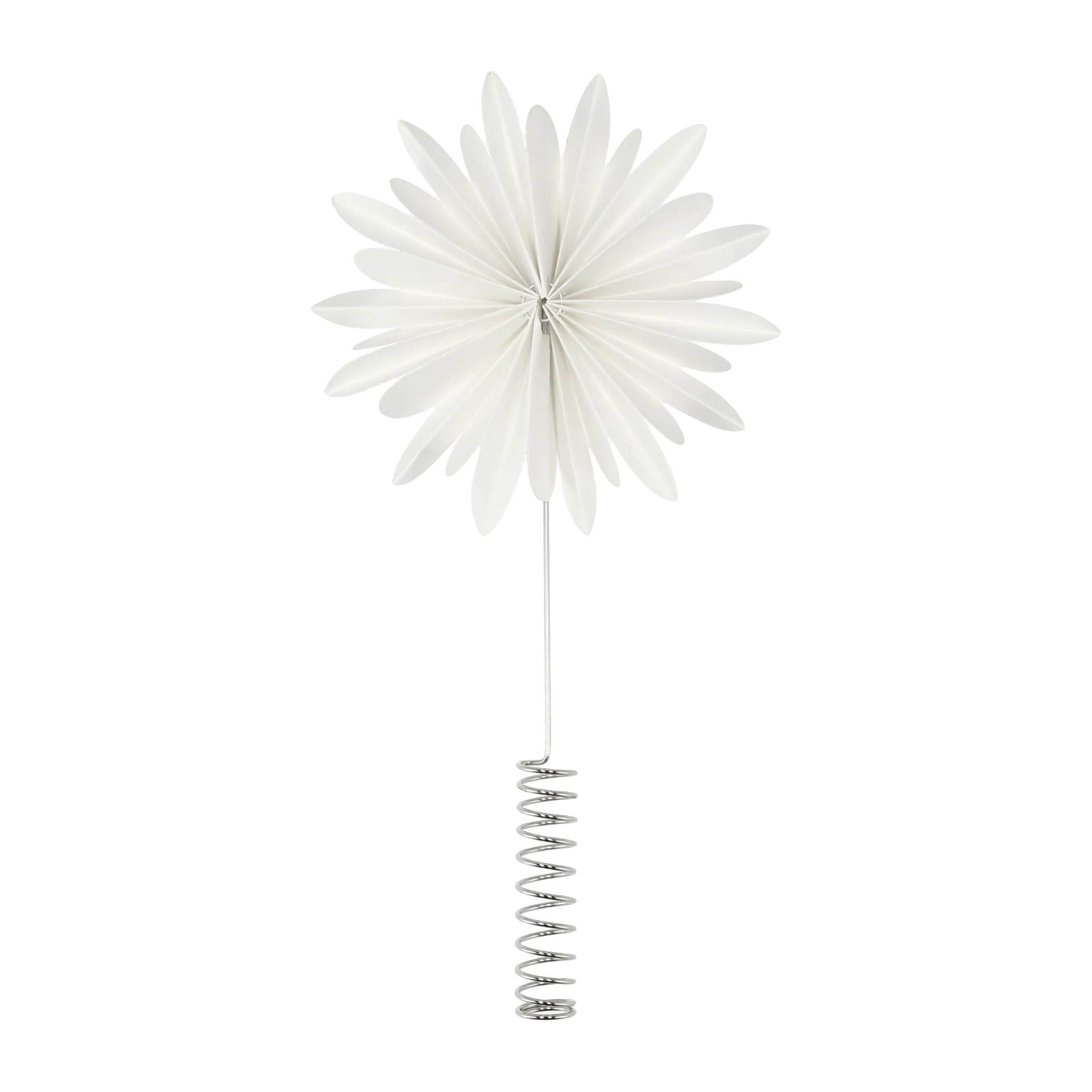 Etoile de Noël Tree tops flower, White DBKD