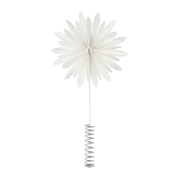 Etoile de Noël Tree tops flower - White - DBKD