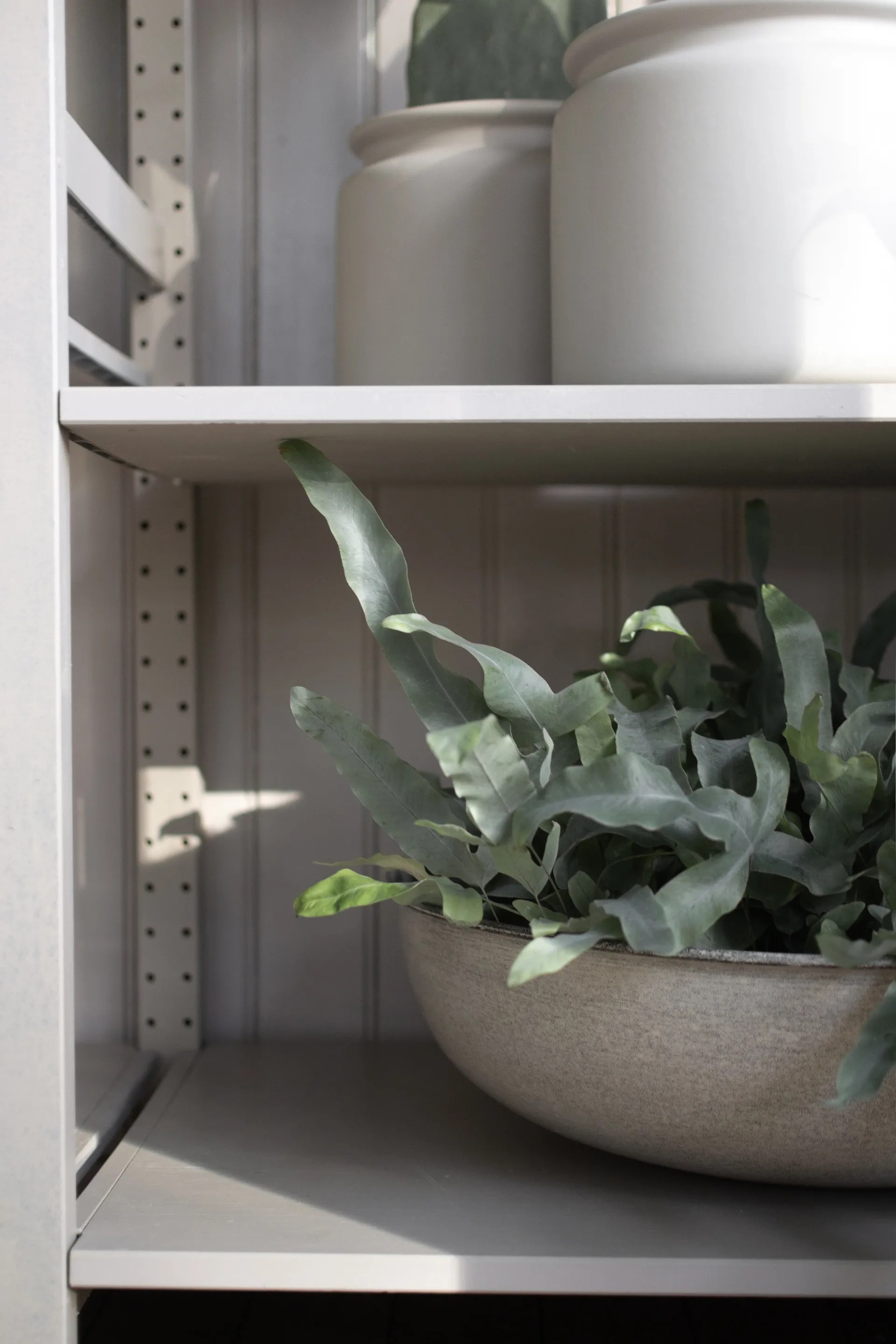 Out bowl, 3 pièces, Beige DBKD