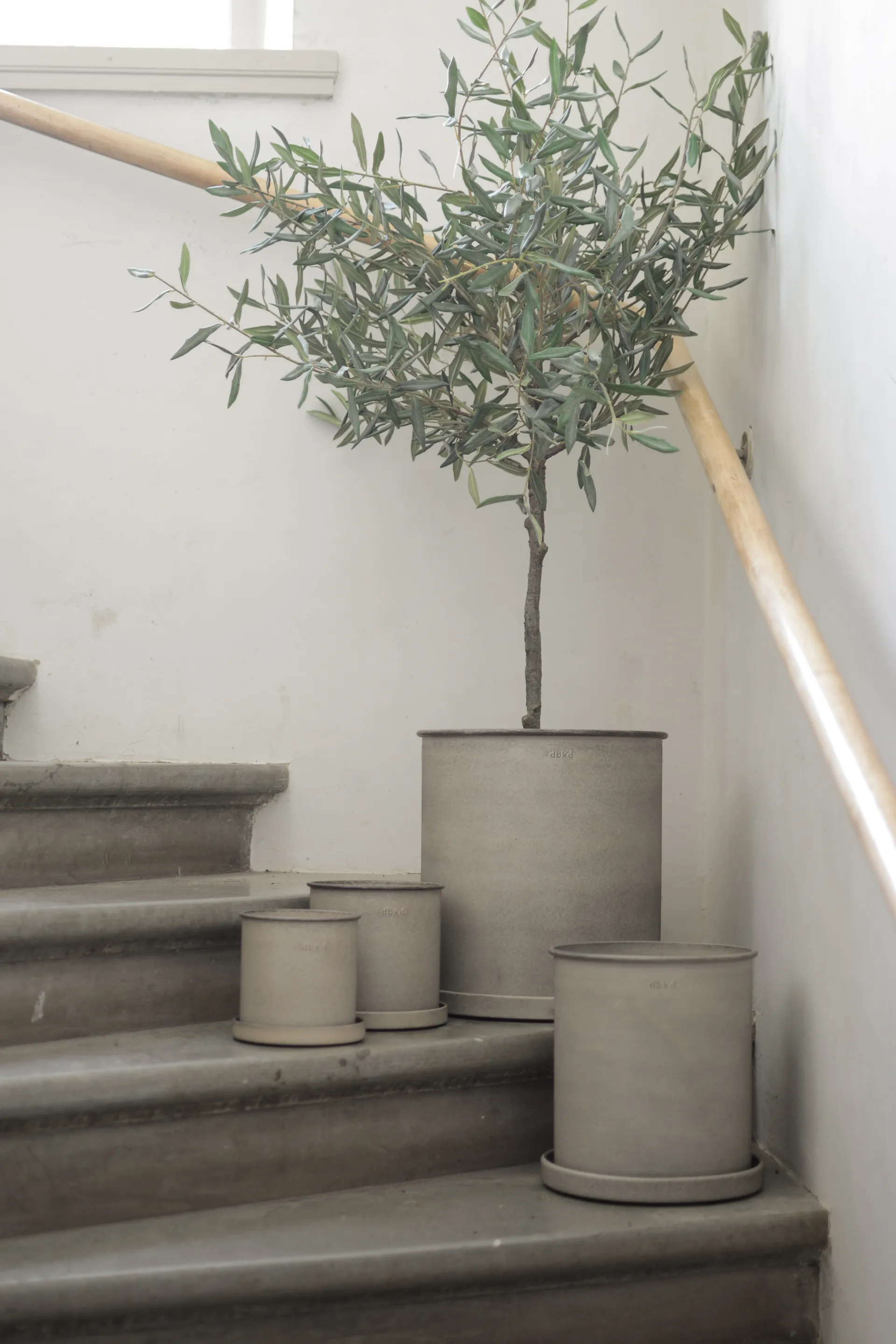Plant Pot pot small lot de 2, Beige DBKD