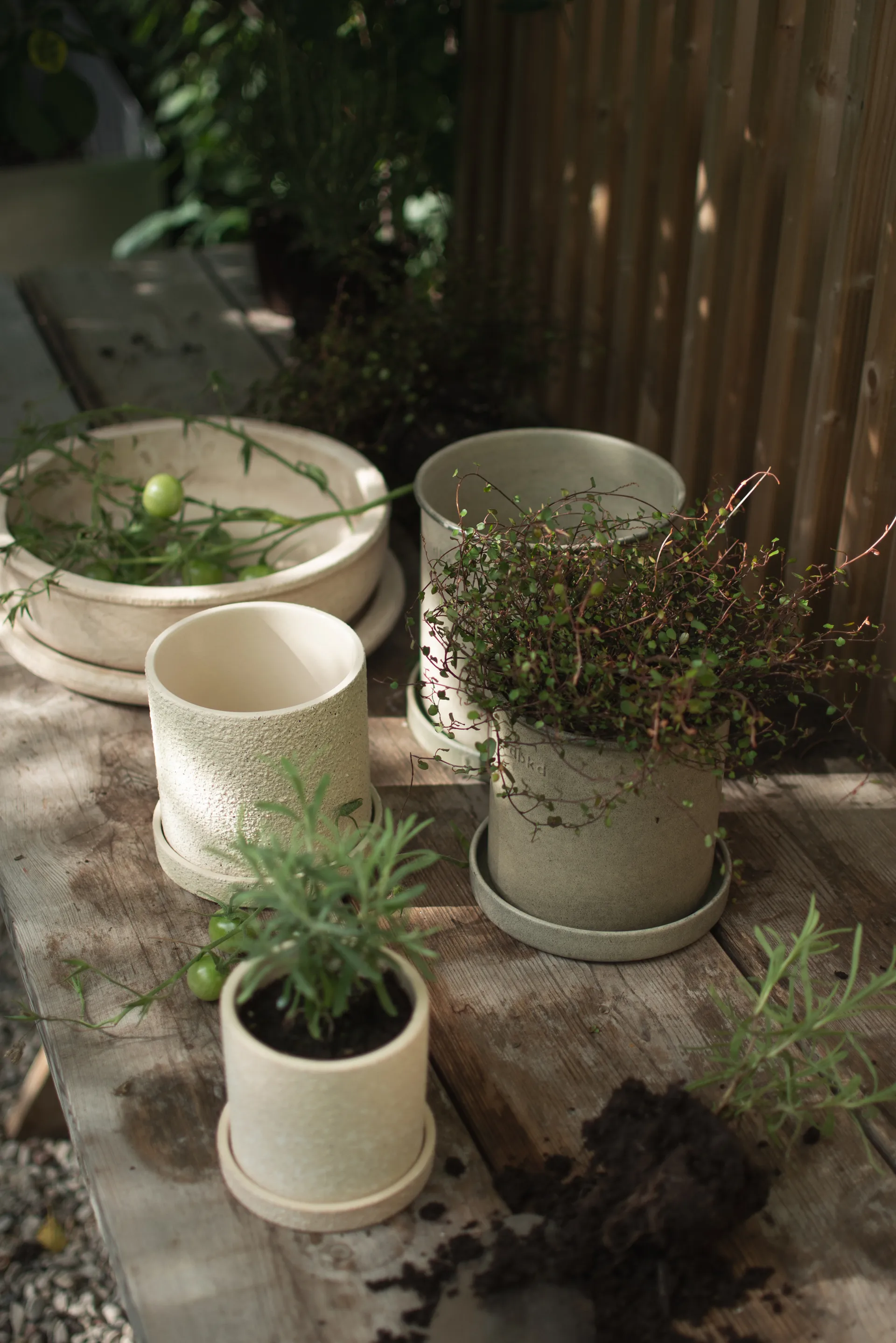 Plant Pot pot small lot de 2, Beige DBKD
