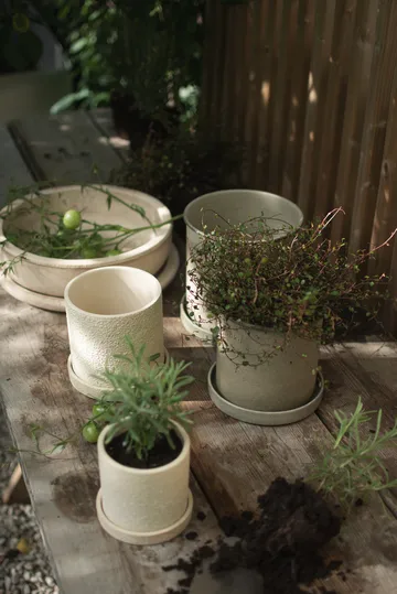 Plant Pot pot small lot de 2 - Beige - DBKD