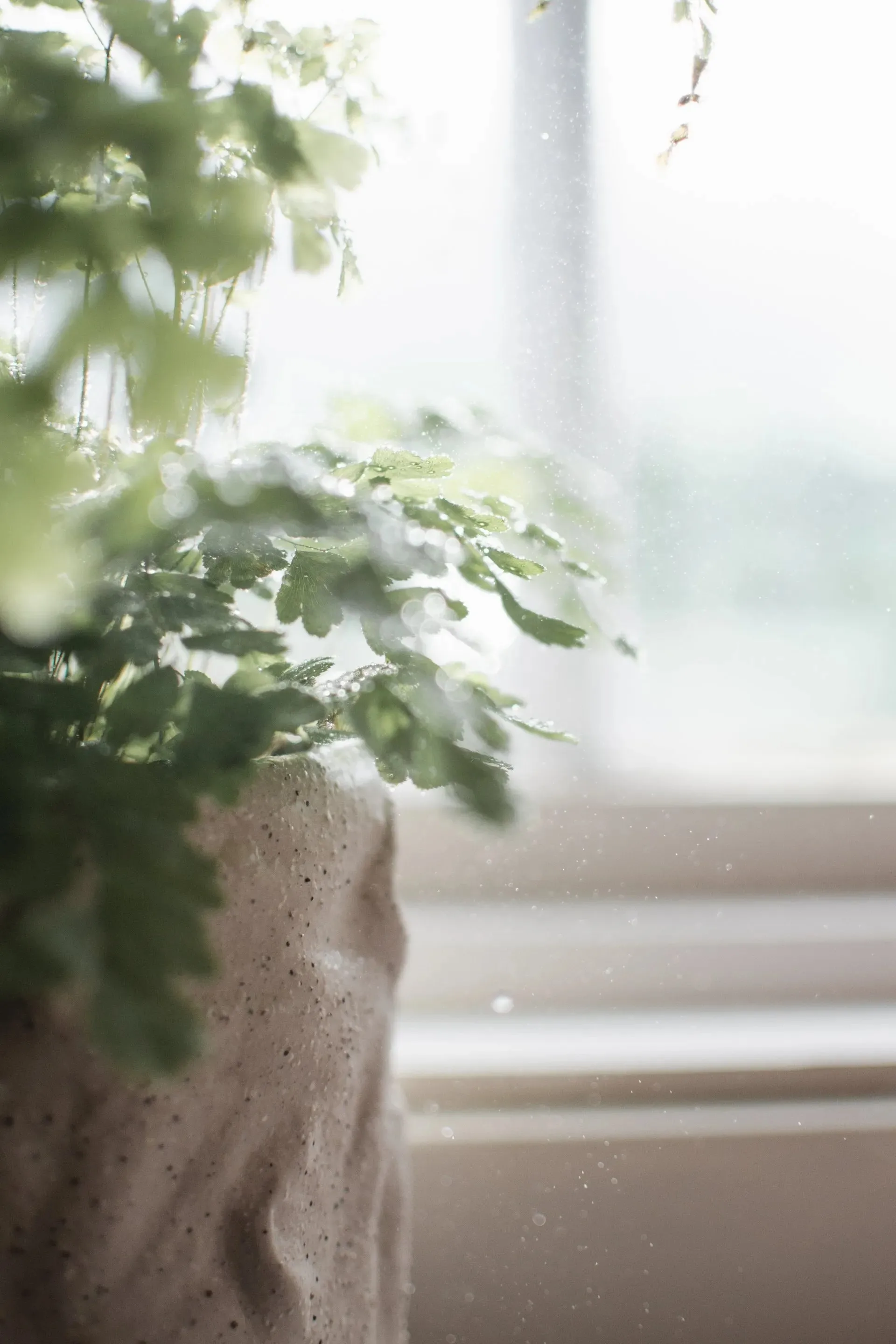 Pot Flow Ø15 cm, Sand DBKD