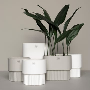 Pot Front Ø16 - Mole - DBKD