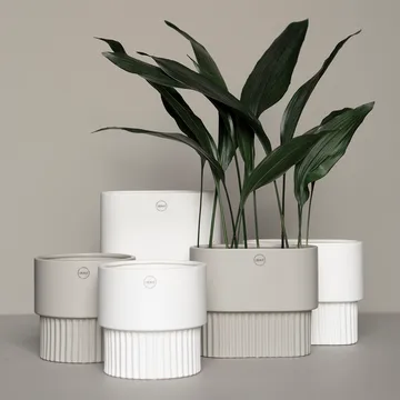 Pot Front oval bas - White - DBKD