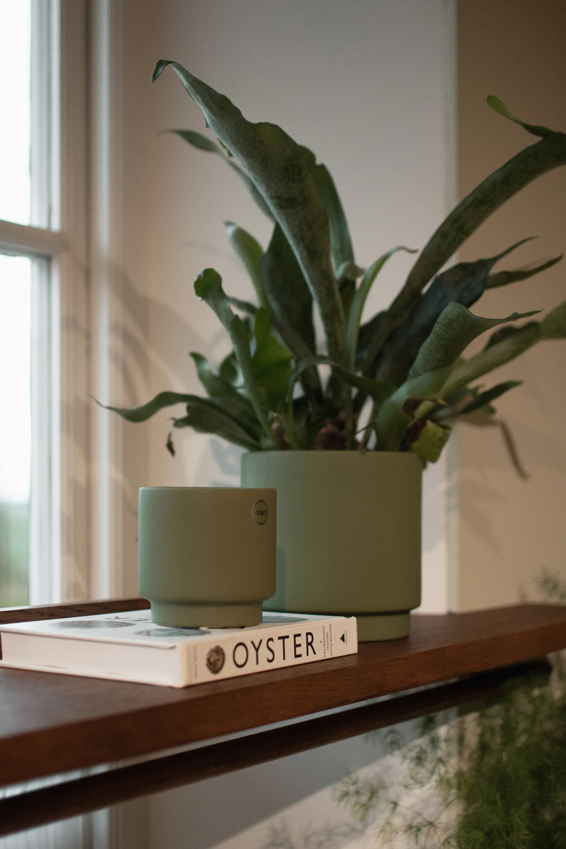 Pot Solid green, Petit, Ø10 cm DBKD