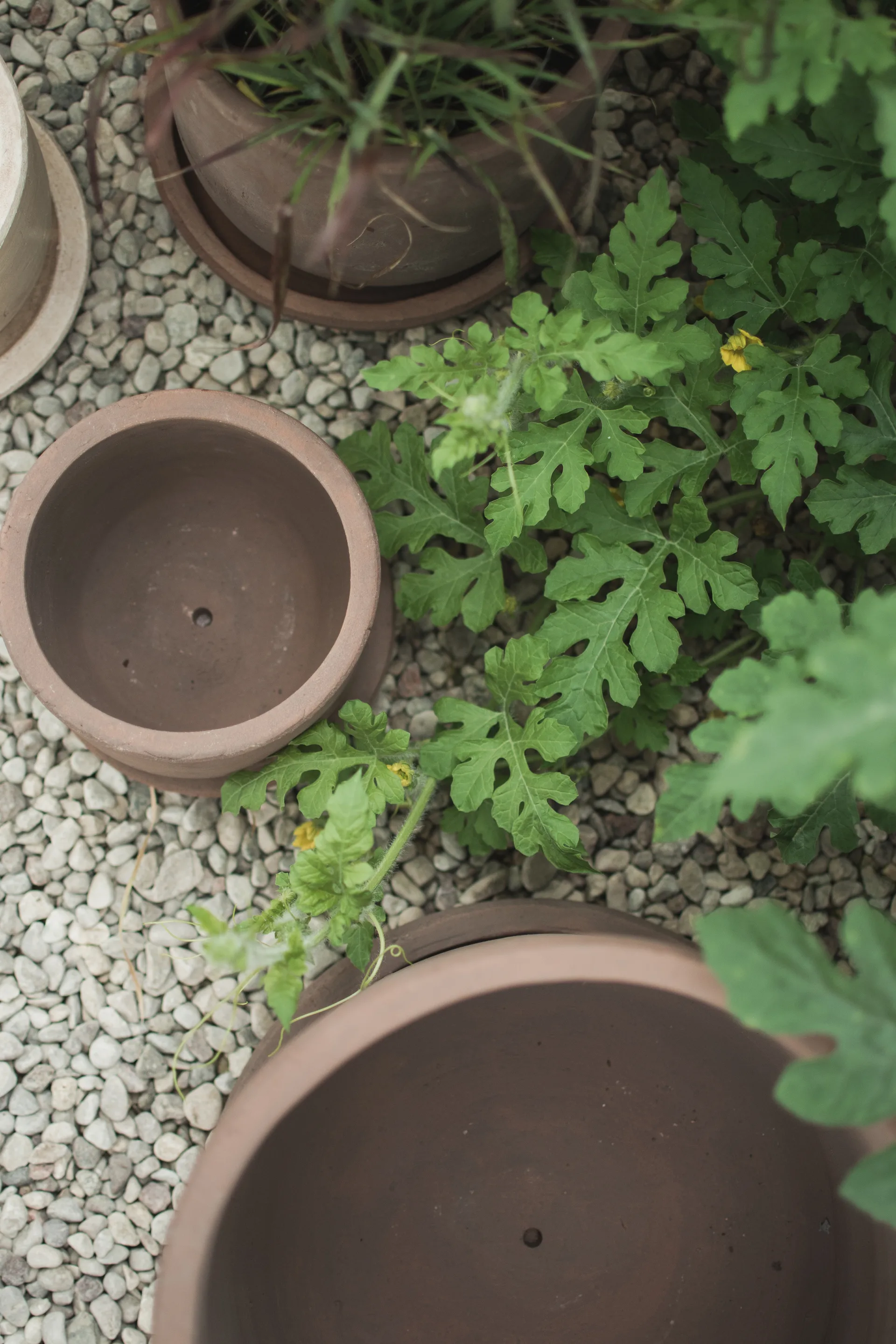 Pot Terra, Brown, Ø33x36 cm DBKD