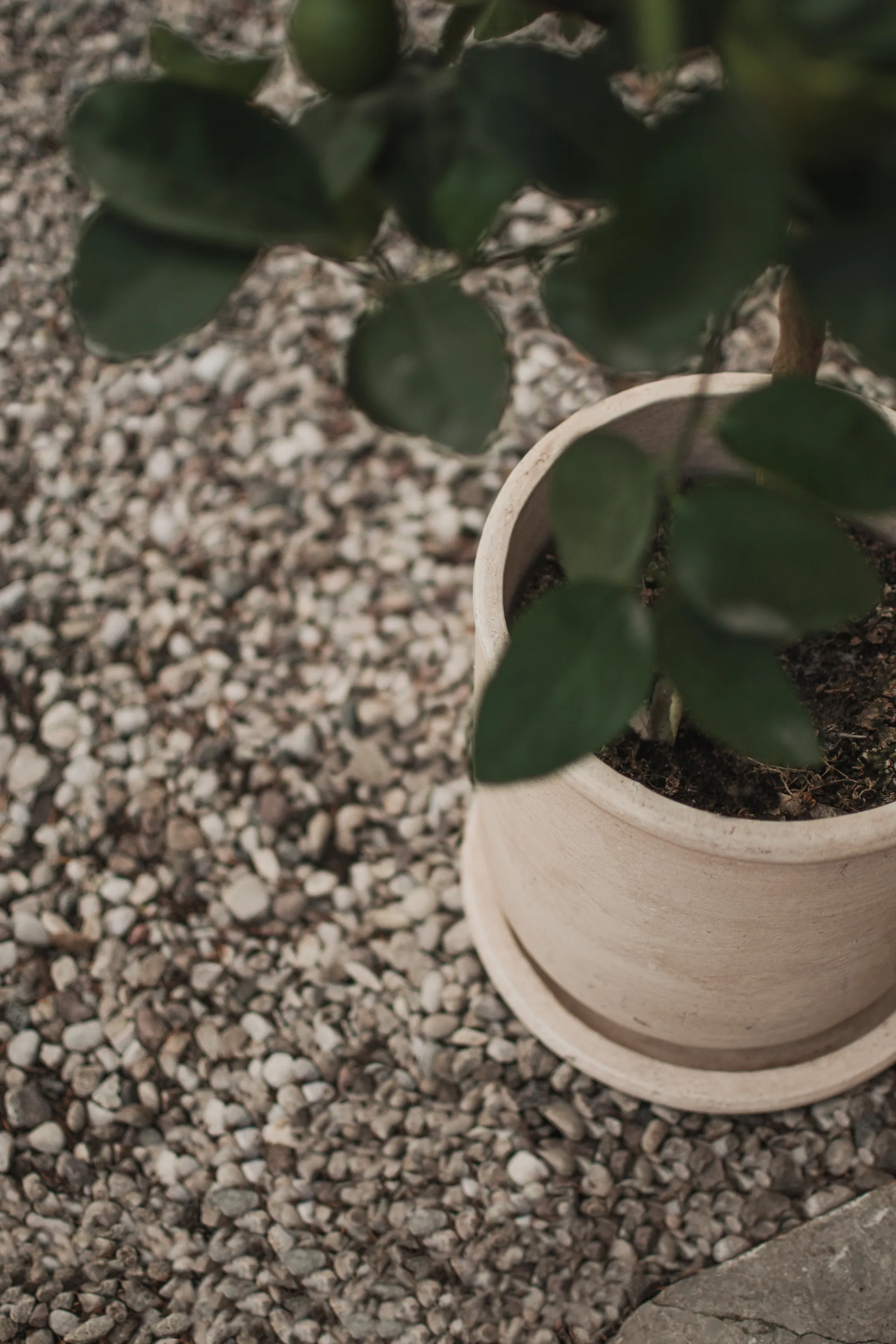 Pot Terra, Sand, Ø23x26 cm DBKD