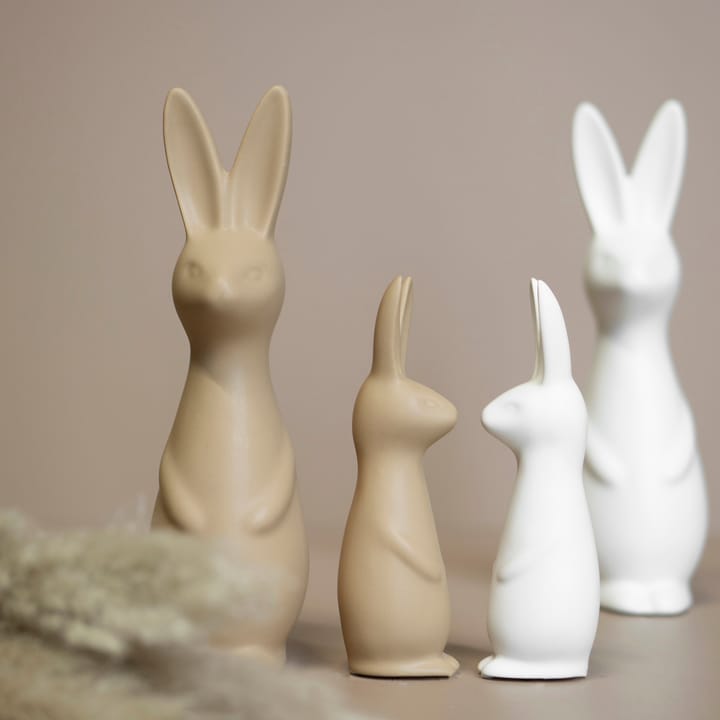 Swedish rabbit large, White DBKD