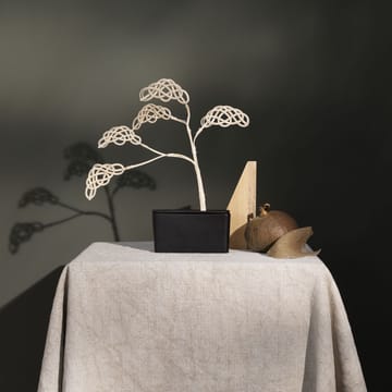 Arbre parfumé Bonsai, ensemble - nuage - Design House Stockholm