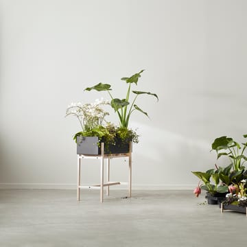 Botanic Flower Stand - Noir-frêne - Design House Stockholm