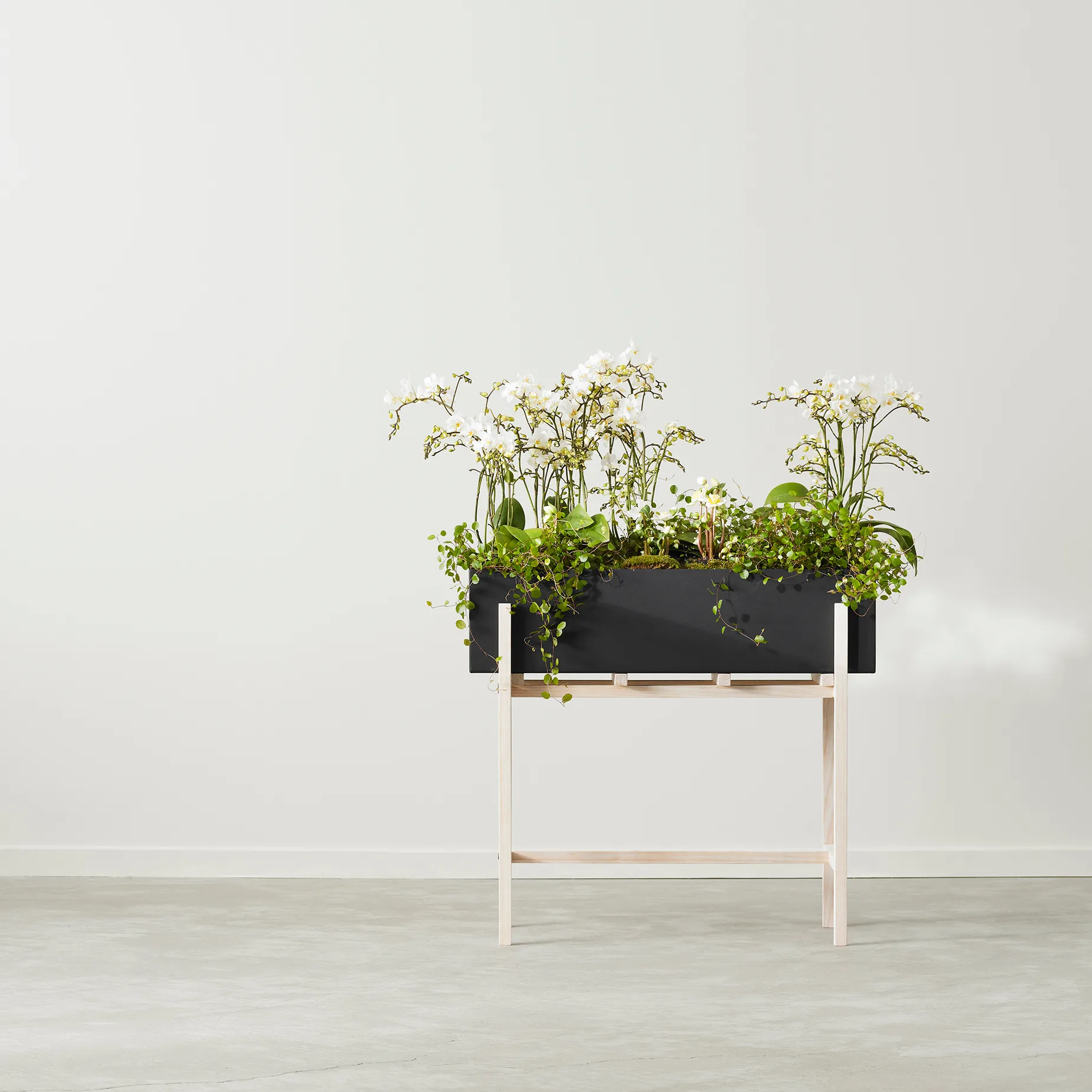 Botanic Flower Stand, Noir-frêne Design House Stockholm