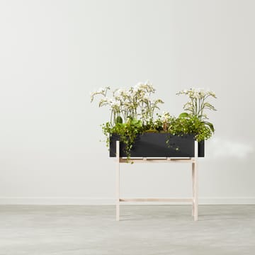 Botanic Flower Stand - Noir-frêne - Design House Stockholm