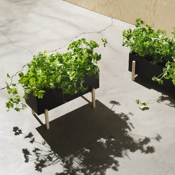 Botanic herb box - Noir-frêne - Design House Stockholm