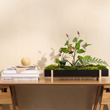 Botanic Plateau de fleurs Flower Tray - noir - Design House Stockholm