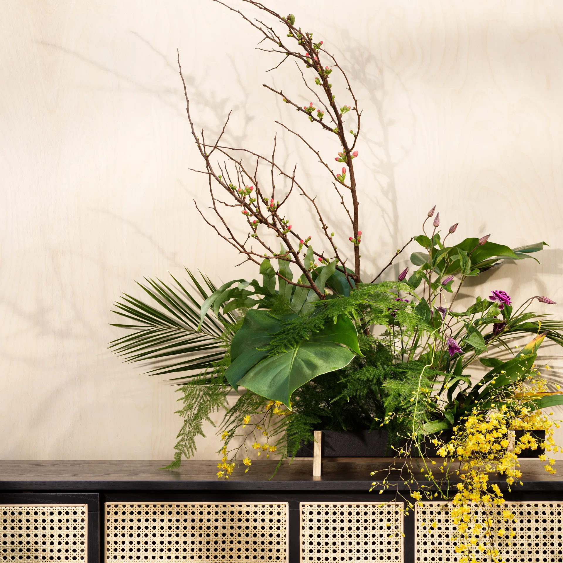 Botanic Plateau de fleurs Flower Tray, noir Design House Stockholm