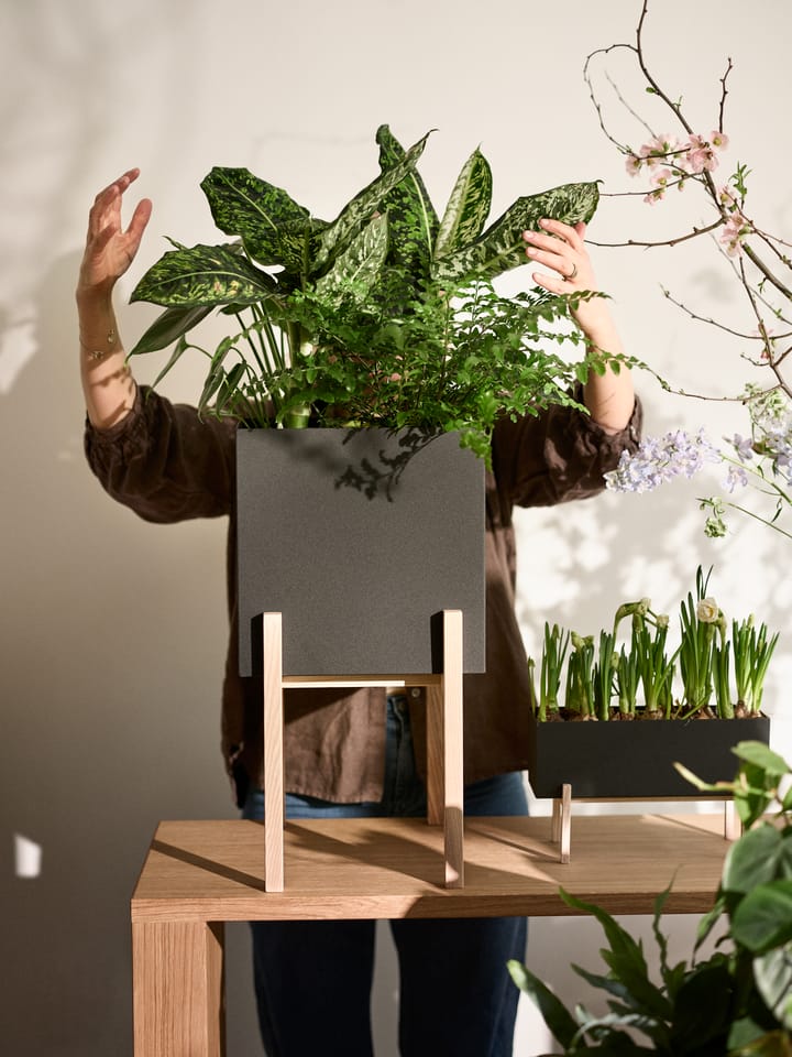 Cache-pot Botanic pedestal - Noir-frêne - Design House Stockholm