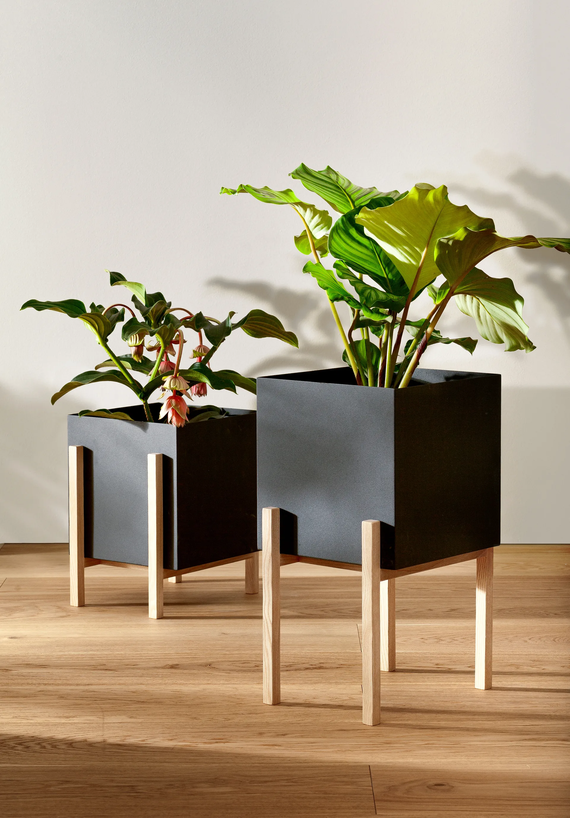 Cache-pot Botanic pedestal, Noir-frêne Design House Stockholm