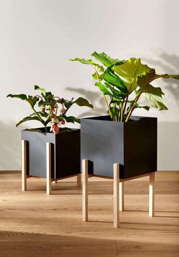 Cache-pot Botanic pedestal - Noir-frêne - Design House Stockholm