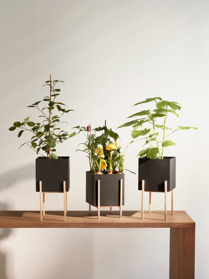 Cache-pot Botanic pedestal - Noir-frêne - Design House Stockholm