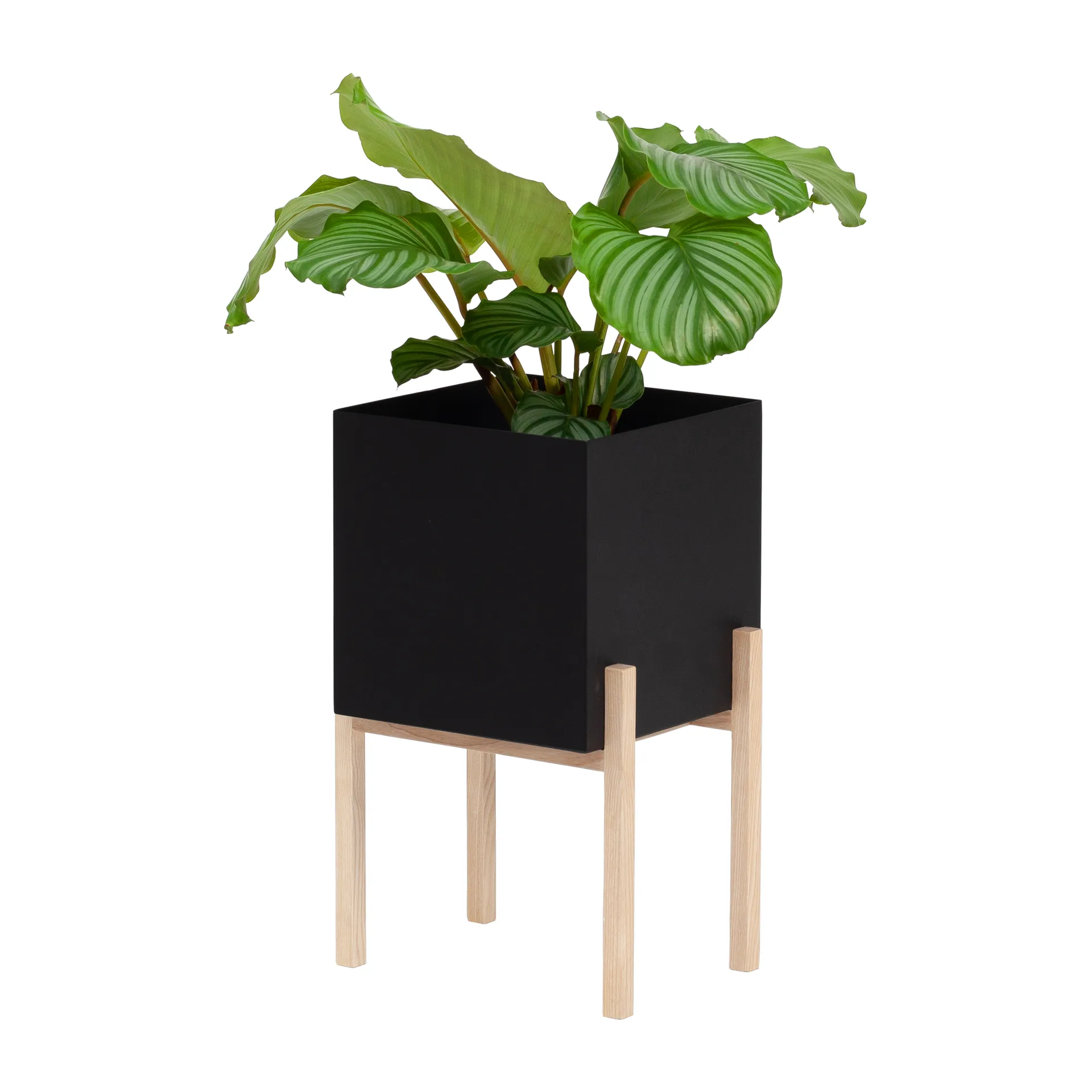 Cache-pot Botanic pedestal, Noir-frêne Design House Stockholm