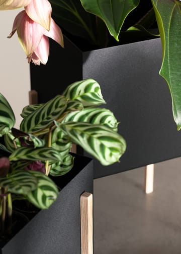 Cache-pot Botanic pot - Noir-frêne - Design House Stockholm