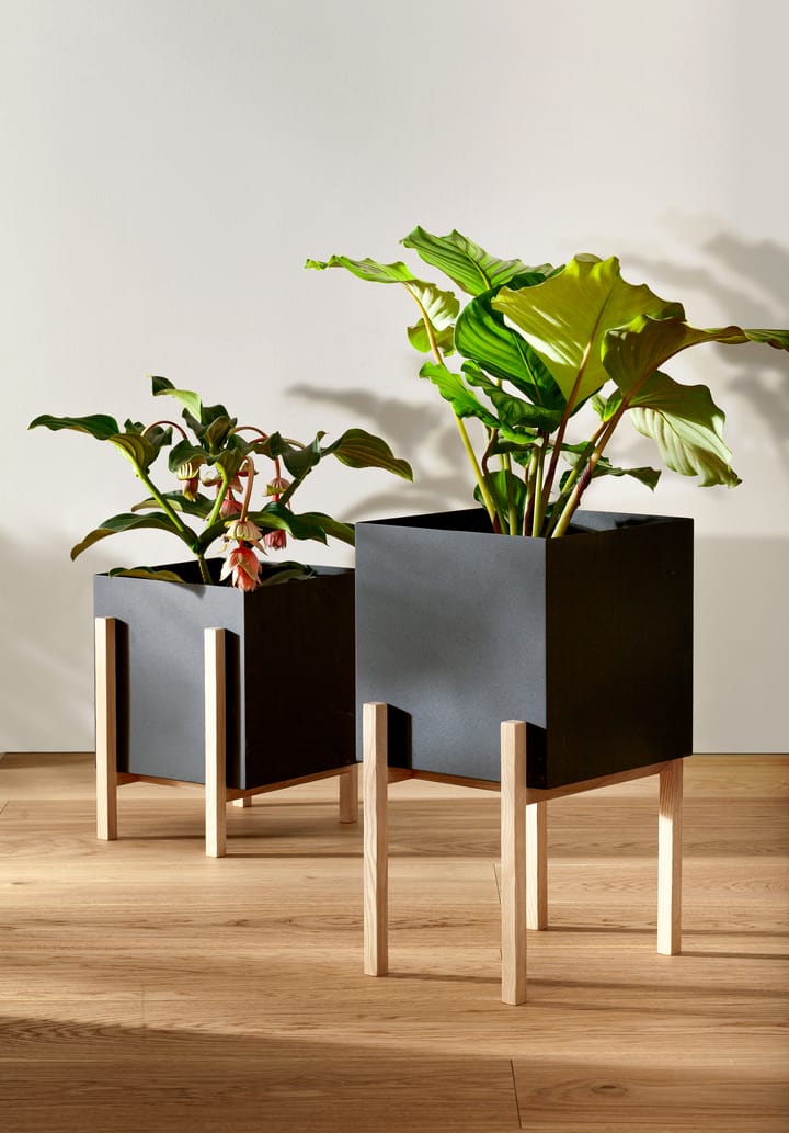 Cache-pot Botanic pot, Noir-frêne Design House Stockholm