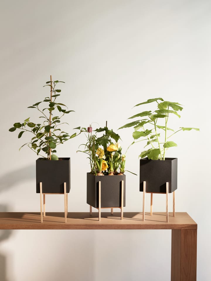 Cache-pot Botanic pot - Noir-frêne - Design House Stockholm