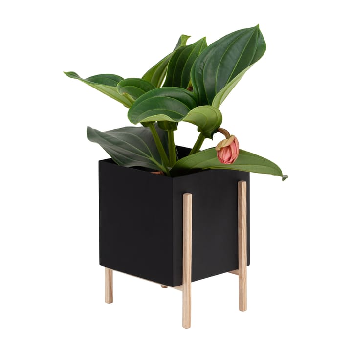 Cache-pot Botanic pot, Noir-frêne Design House Stockholm
