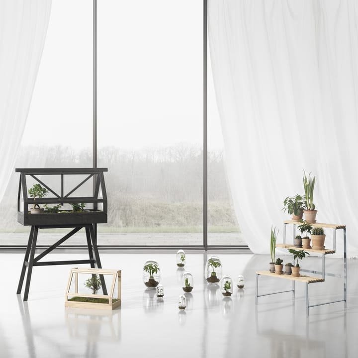Serre Greenhouse mini - frêne - Design House Stockholm