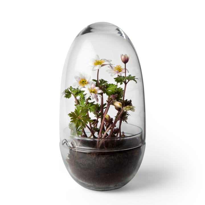 Serre Grow, Moyen ø11 cm Design House Stockholm