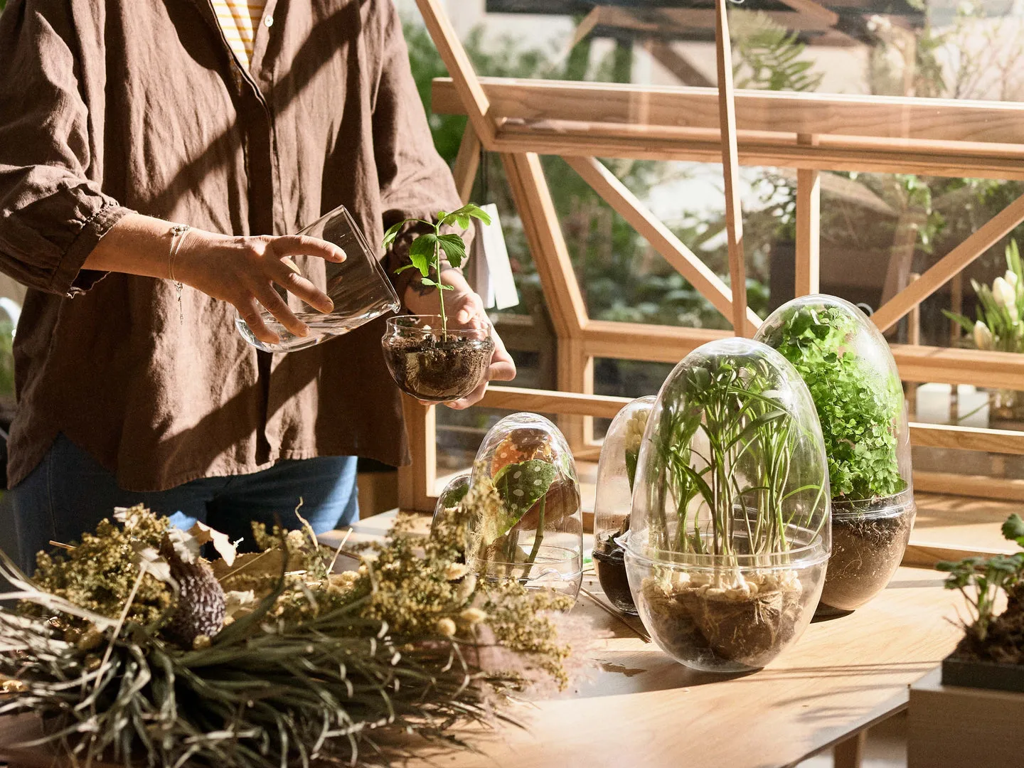 Serre Grow, Moyen ø11 cm Design House Stockholm