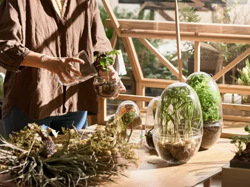 Serre Grow - Moyen ø11 cm - Design House Stockholm