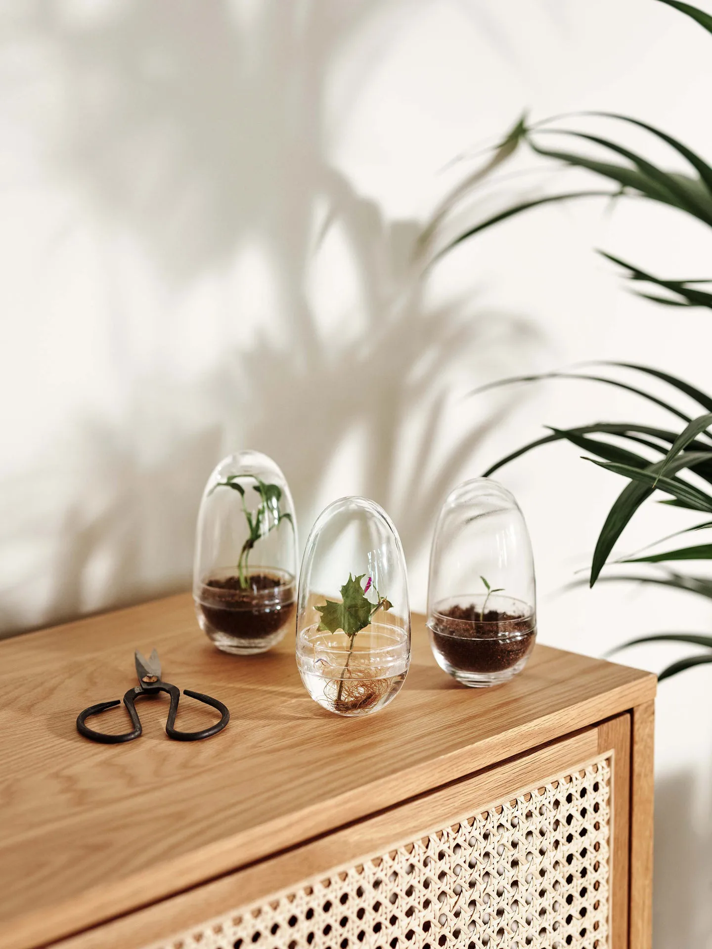 Serre Grow, Small ø8 cm Design House Stockholm