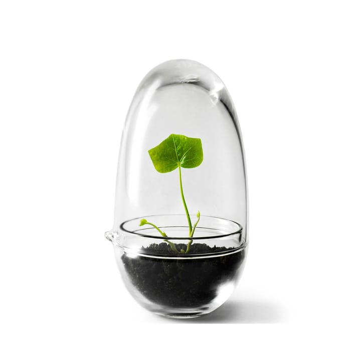 Serre Grow - small Ø8 cm - Design House Stockholm