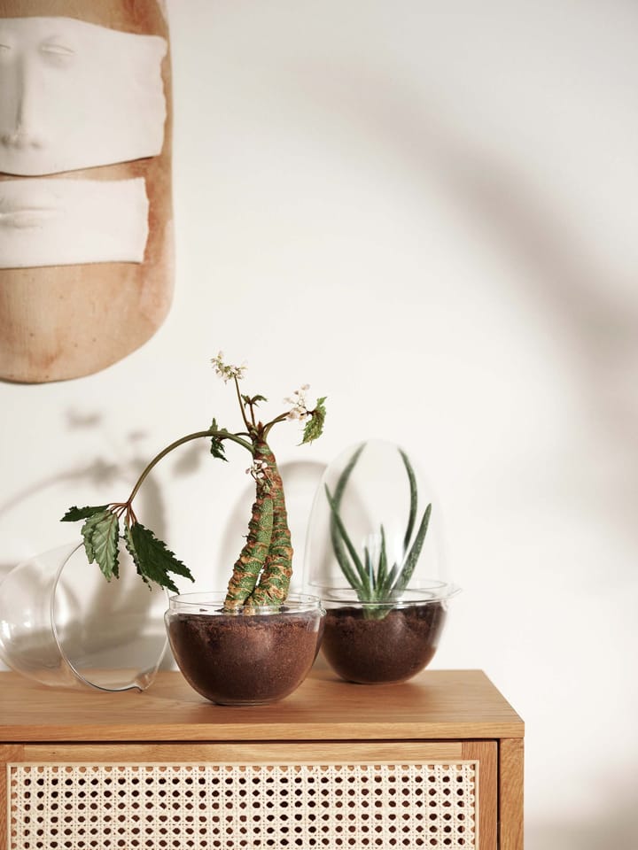 Serre Grow, x-large Ø20 cm Design House Stockholm