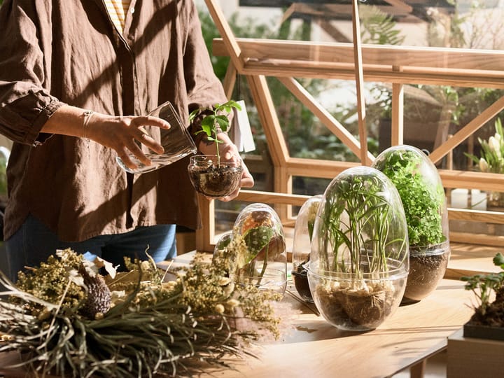 Serre Grow, x-large Ø20 cm Design House Stockholm