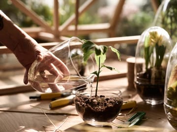 Serre Grow - x-large Ø20 cm - Design House Stockholm