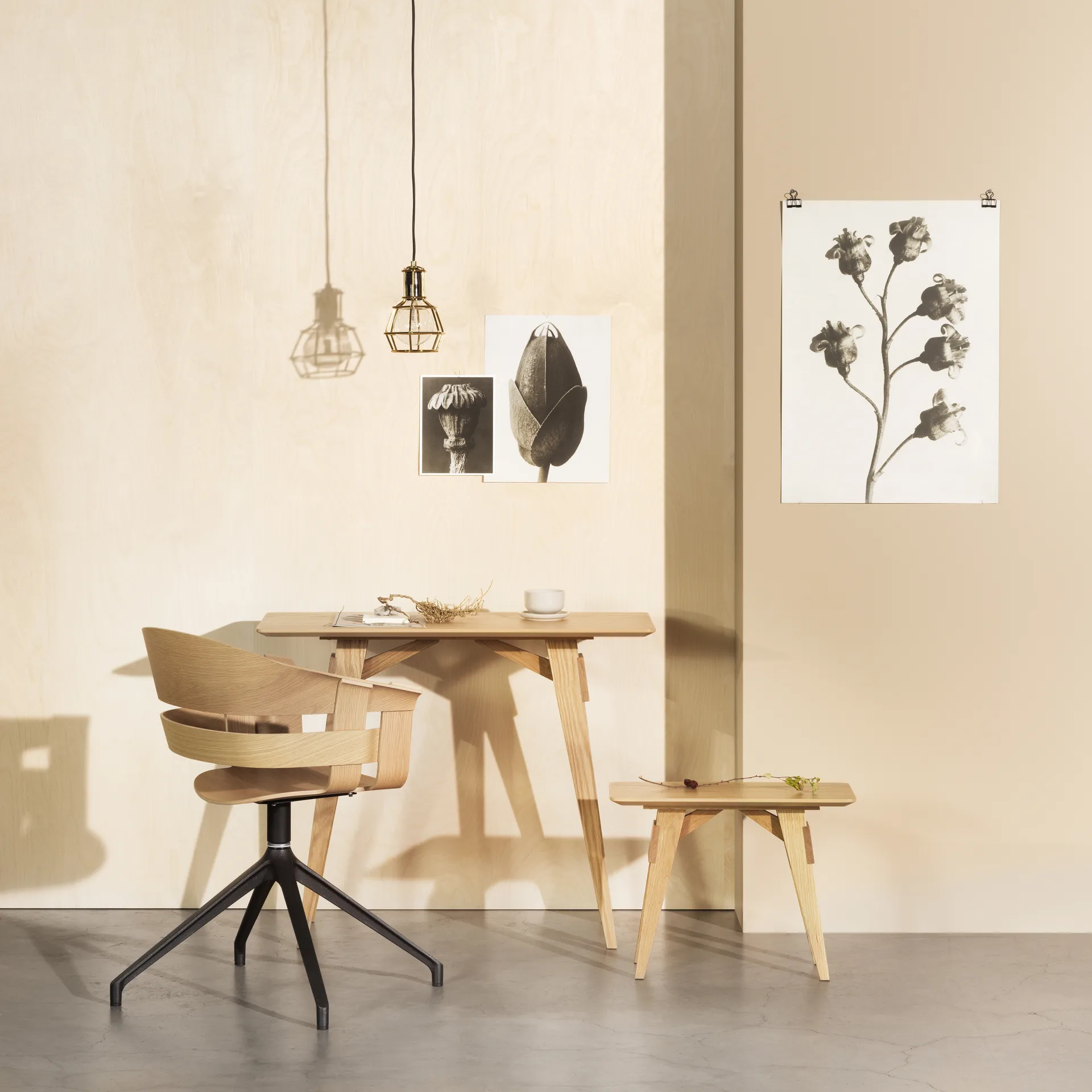 Table d'appoint Arco S, chêne Design House Stockholm