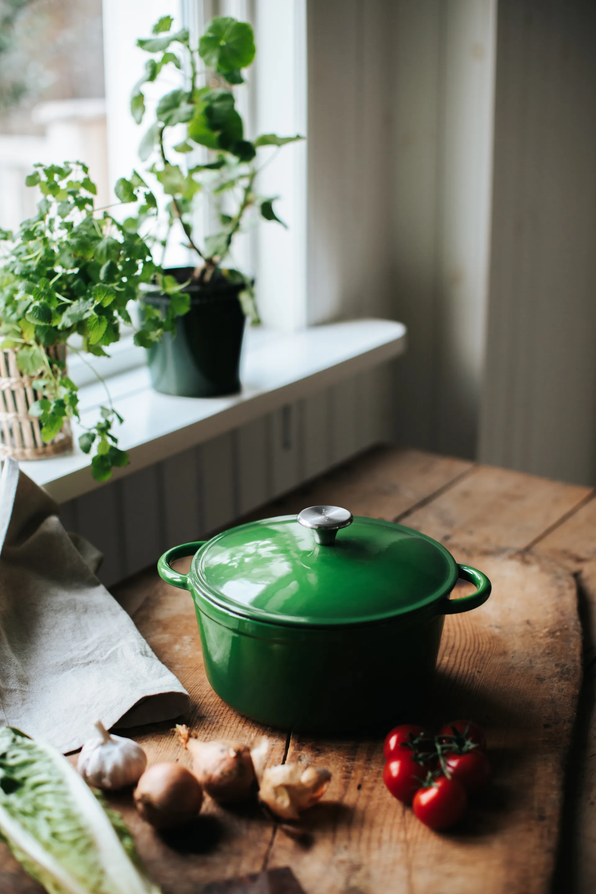 Cocotte ronde en fonte Gretl avec bouton en acier inoxydable 4 L, Vert Dorre