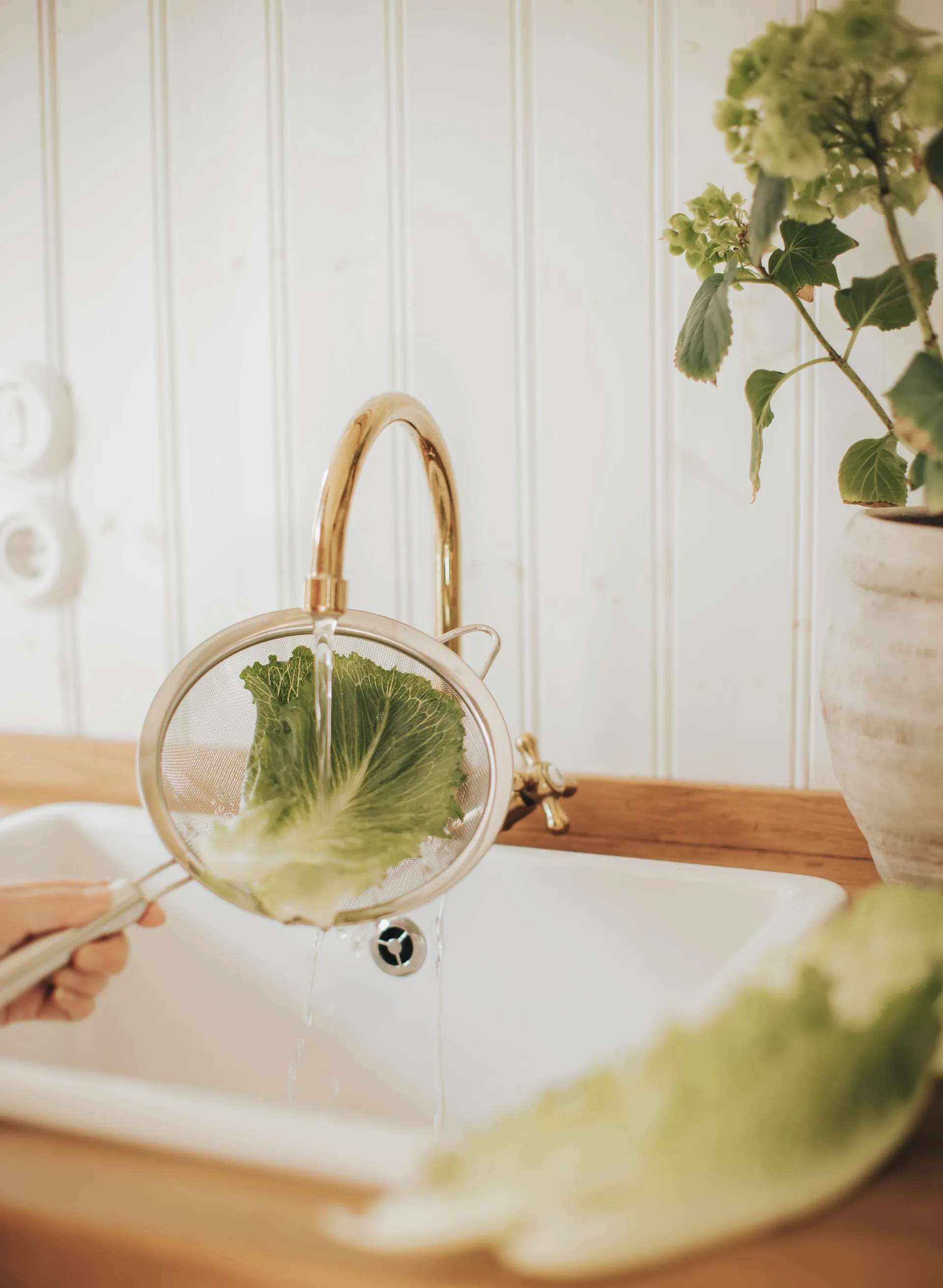 Passoire Pia Ø20 cm, Acier inoxydable Dorre